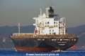Maersk Delano (OK-101013-4).jpg