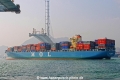 MOL Presence OS-261008-01.jpg
