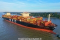 MSC Eleonore (KB-D031026-07).jpg