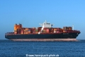 Oakland Express JG-050225-02.jpg
