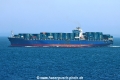 Panda 008 TL-080626-3.jpg