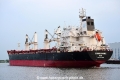 Longshore OS-030517-12.jpg