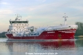 Ramanda (OK-240219-0).jpg