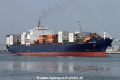 MSC Antares SH-110613-01.jpg