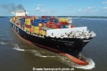 MSC Anchorage TL-210823-3.jpg