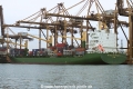 P&O Nedlloyd Fremantle OS-FN300-1.jpg