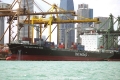 P&O Nedlloyd Rose OS-FN301-1.jpg