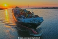 MSC Arica KH-170619-4.jpg