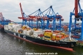 MSC Athens (KB-D250524-04).jpg