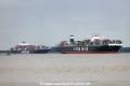 YM Wish (KK-310715-05).jpg