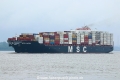 MSC Anzu TL-110718-2.jpg
