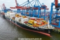 MSC Athens (KB-D250524-01).jpg