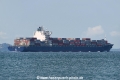 Majd OS-201018-13.jpg