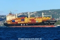 MSC Polina (OK-090926-1).jpg