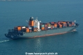 Malleco HK-210117-2.jpg