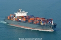 Malleco HK-210117-1.jpg
