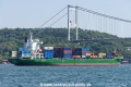 Mao Gang Shang Hai (OK-270823-6).jpg