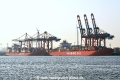 Polar Brasil + Monte Olivia 270320-1.jpg
