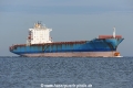 MSC Barbados JG-260923-1.jpg