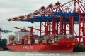 Polar Brasil (KB-D210520-01).jpg