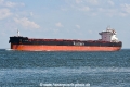 Rostrum Sceptic JG-160726-2.jpg