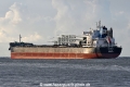 RG Rhea JG-100626-4.jpg