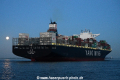 YM Wondrous 210416-10.jpg