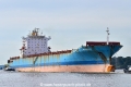 MSC Barbados (KB-D260923-01).jpg