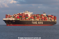 YM Worth SH-010317-01.jpg