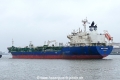 Bow Glory (MB-240425-4).jpg