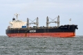 Betula Arrow JG-171025-2.jpg