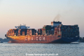 CMA CGM Mexico 310819-16.jpg