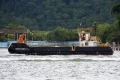 Topa-Tudo 16 RV-171212-02.jpg