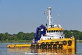 Dutch Pearl (OK-080820-1).jpg