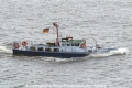 Tuemmler (250504-2).jpg