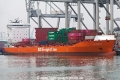 BG Orange SH-090225-01.jpg