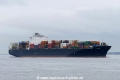 Athenian (KK-230318-0).jpg
