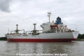 Nova Hollandia  (MB-091007-6).jpg