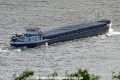Pinnau 300515.jpg