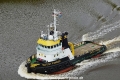 Dutch Pioneer (US-280521-1).jpg