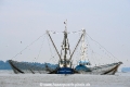 Elbfischer 080716-03.jpg