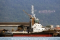 Delphinus RV-060912.jpg