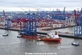 Zhen Hua 27 201124-18.jpg