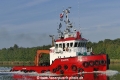 Dolphin (OK-061018-1).jpg