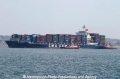 CMA CGM Dahlia (MS-290706-1).jpg