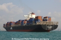 APL Turkey OS-140313-17.jpg
