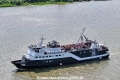 Koi 290723-1.jpg