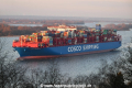 Cosco Shipping Aries 230218-05.jpg