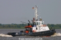 Corvin (JS-240806-02).jpg