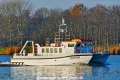Limanda (OK-191220-0).jpg